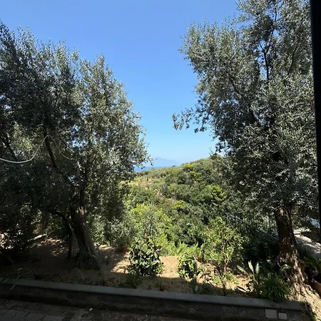 דירה Rosmary מסה לוברנסה