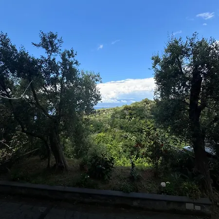 Rosmary דירה *