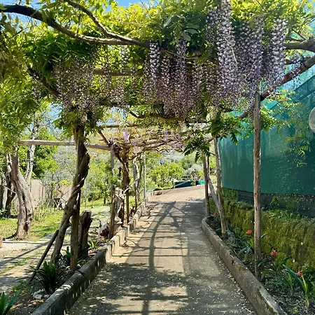דירה Rosmary *