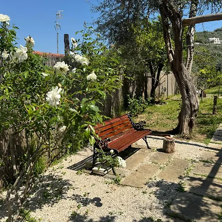 Rosmary דירה